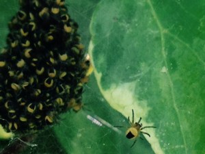 SubstandardFullSizeRender